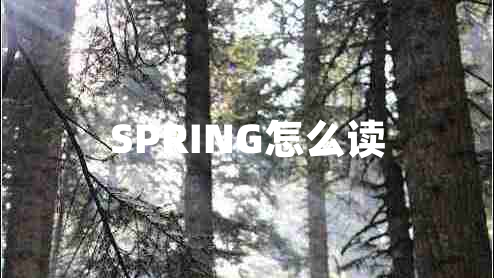 SPRING怎么读