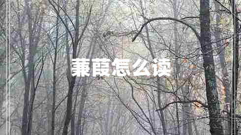 蒹葭怎么读