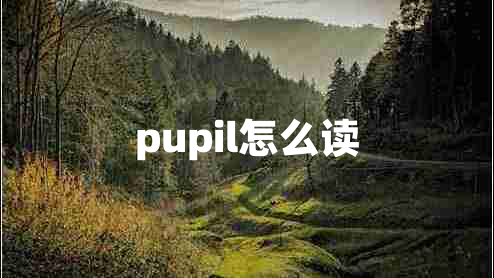 pupil怎么读