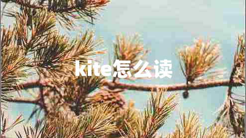 kite怎么读