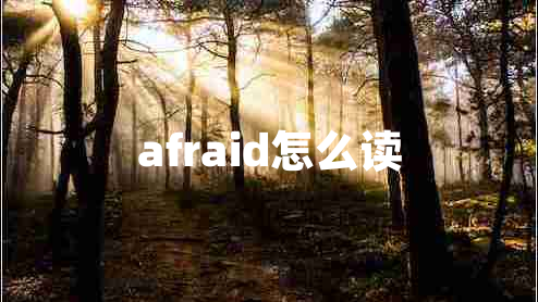 afraid怎么读