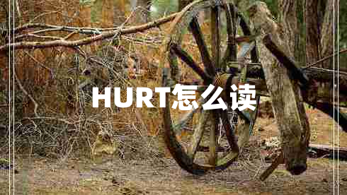 HURT怎么读