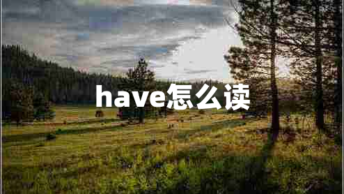 have怎么读