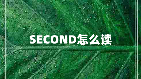 SECOND怎么读