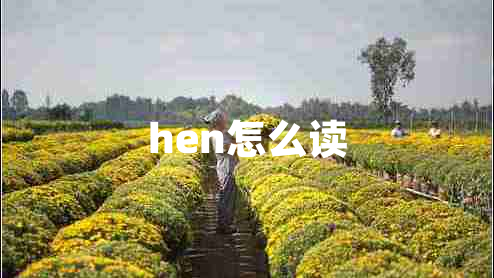 hen怎么读