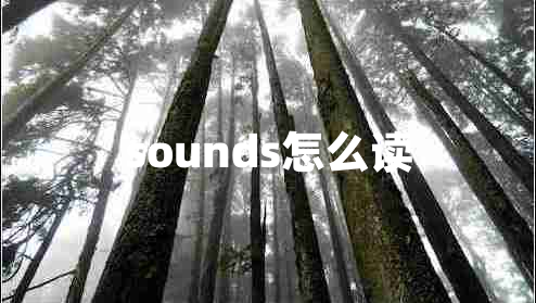 sounds怎么读