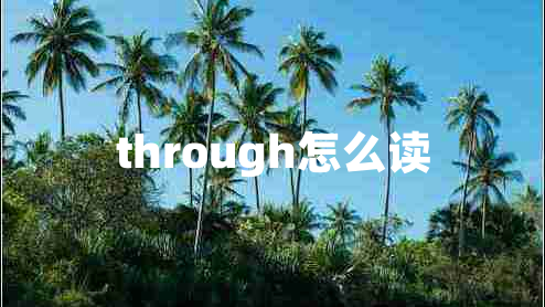 through怎么读