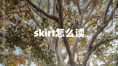 skirt怎么读