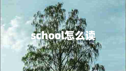 school怎么读