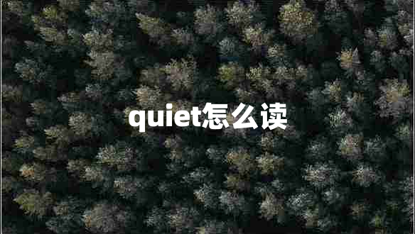 quiet怎么读