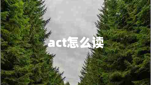 act怎么读