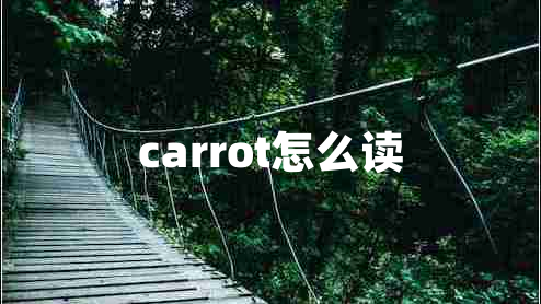 carrot怎么读