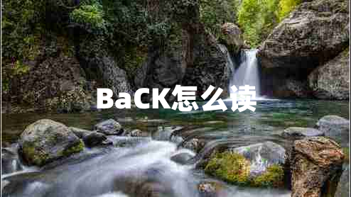 BaCK怎么读