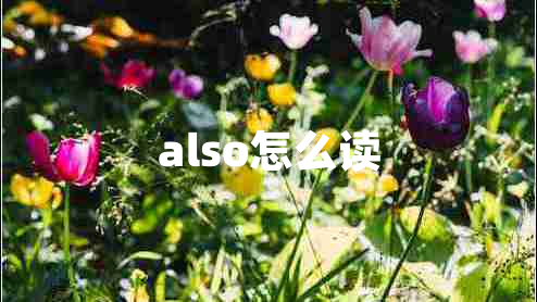 also怎么读