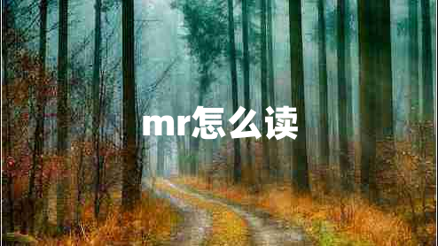 mr怎么读