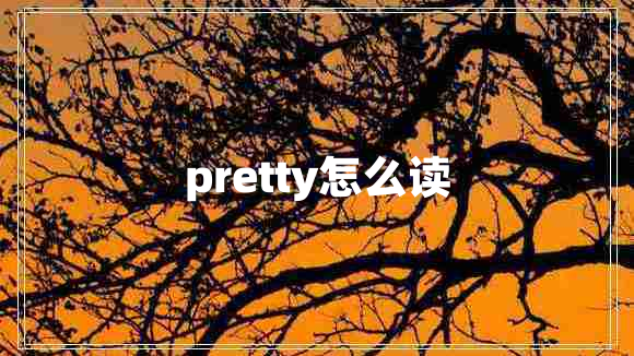 pretty怎么读