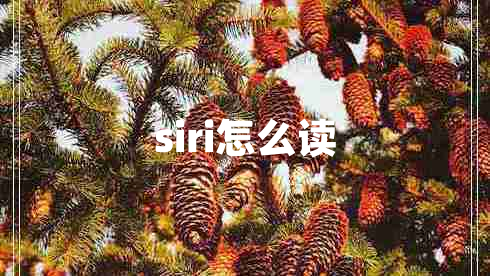 siri怎么读