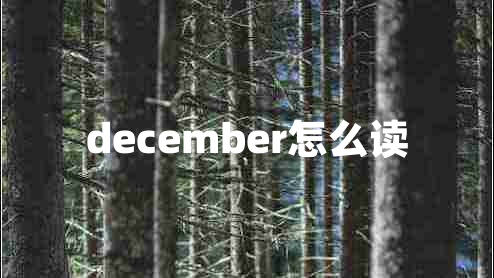 december怎么读