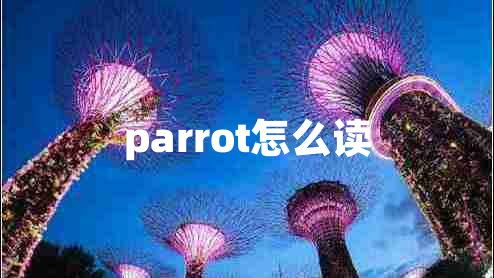 parrot怎么读