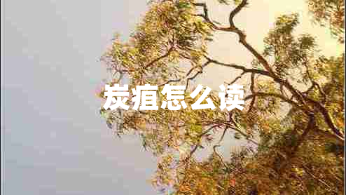 炭疽怎么读