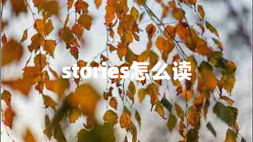 stories怎么读