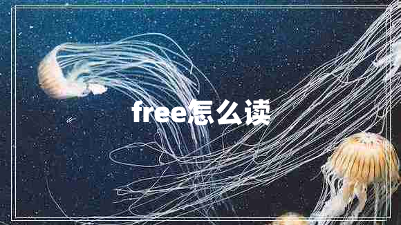 free怎么读