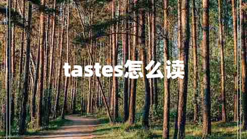 tastes怎么读