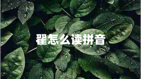 翟怎么读拼音