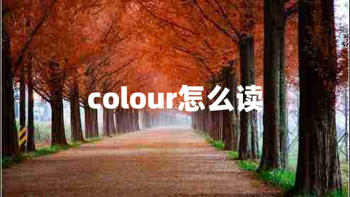 colour怎么读