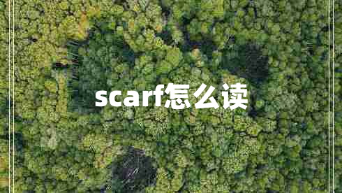 scarf怎么读