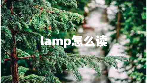 lamp怎么读