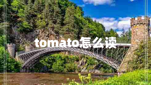 tomato怎么读