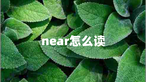 near怎么读