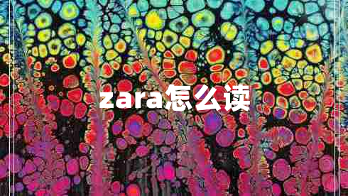 zara怎么读