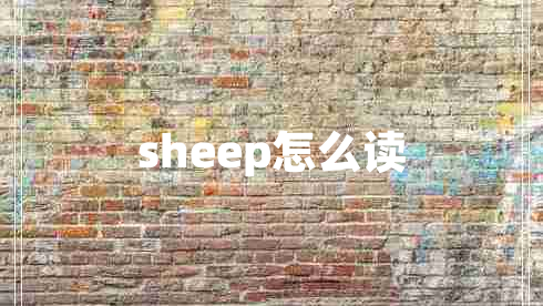 sheep怎么读