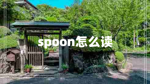 spoon怎么读