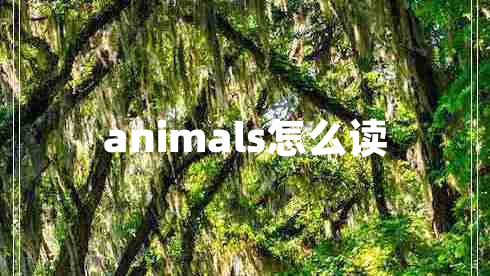 animals怎么读