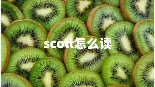 scott怎么读