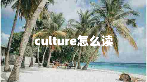 culture怎么读