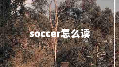 soccer怎么读