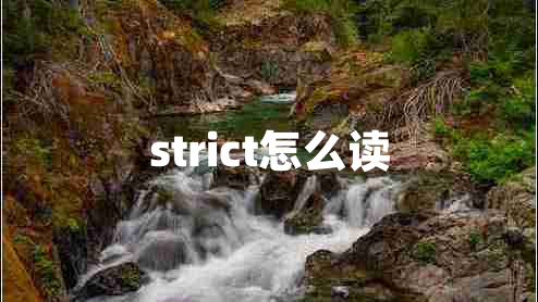 strict怎么读