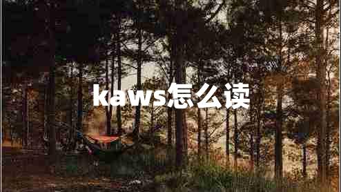 kaws怎么读