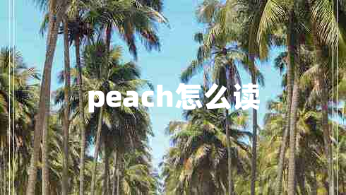 peach怎么读