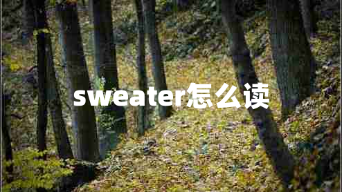 sweater怎么读