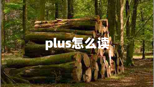 plus怎么读