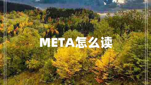 META怎么读