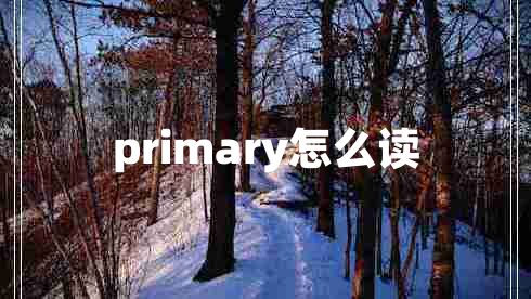 primary怎么读