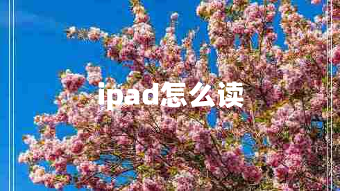 ipad怎么读