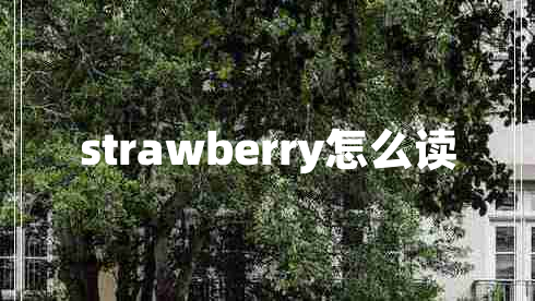 strawberry怎么读