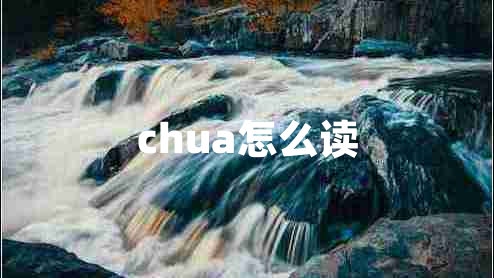 chua怎么读